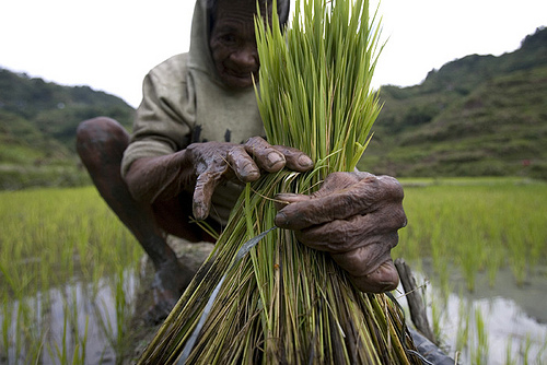farmerinbenguet.jpg